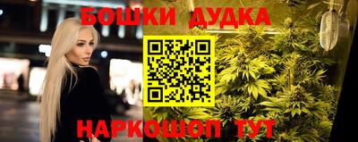 стафф Железногорск