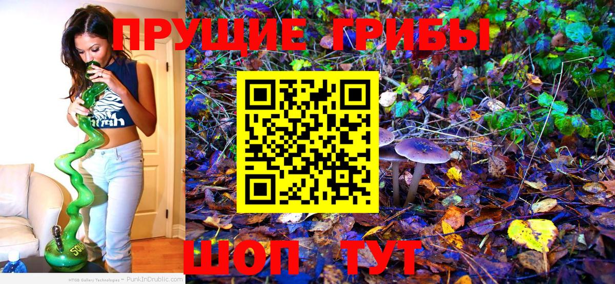 Галлюциногенные грибы GOLDEN TEACHER Оренбург